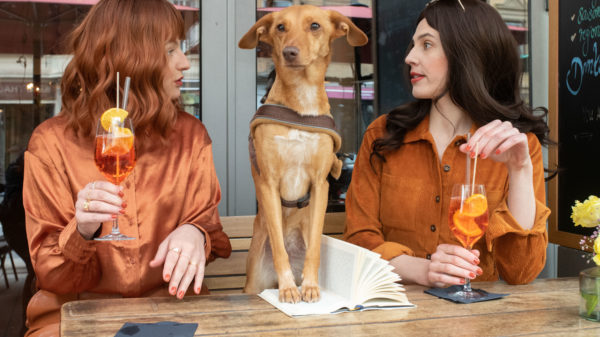 Auf dem Bild sind zwei weiblich gelesene Menschen und ein Hund abgebildet. Die zwei Frauen tragen beide eine orange Bluse. Sie sitzen an einem Tisch und haben jeweils einen Aperol Spritz in der Hand und schauen sich an. Zwischen den zwei Frauen sitzt ein Hund auf dem Tisch. Seine Vorderpfoten stehen auf einem aufgeschlagenen Buch. Im Hintergrund sieht man ein Fenster, in dem sich ein roter großer Sonnenschirm eines Restaurants spiegelt.